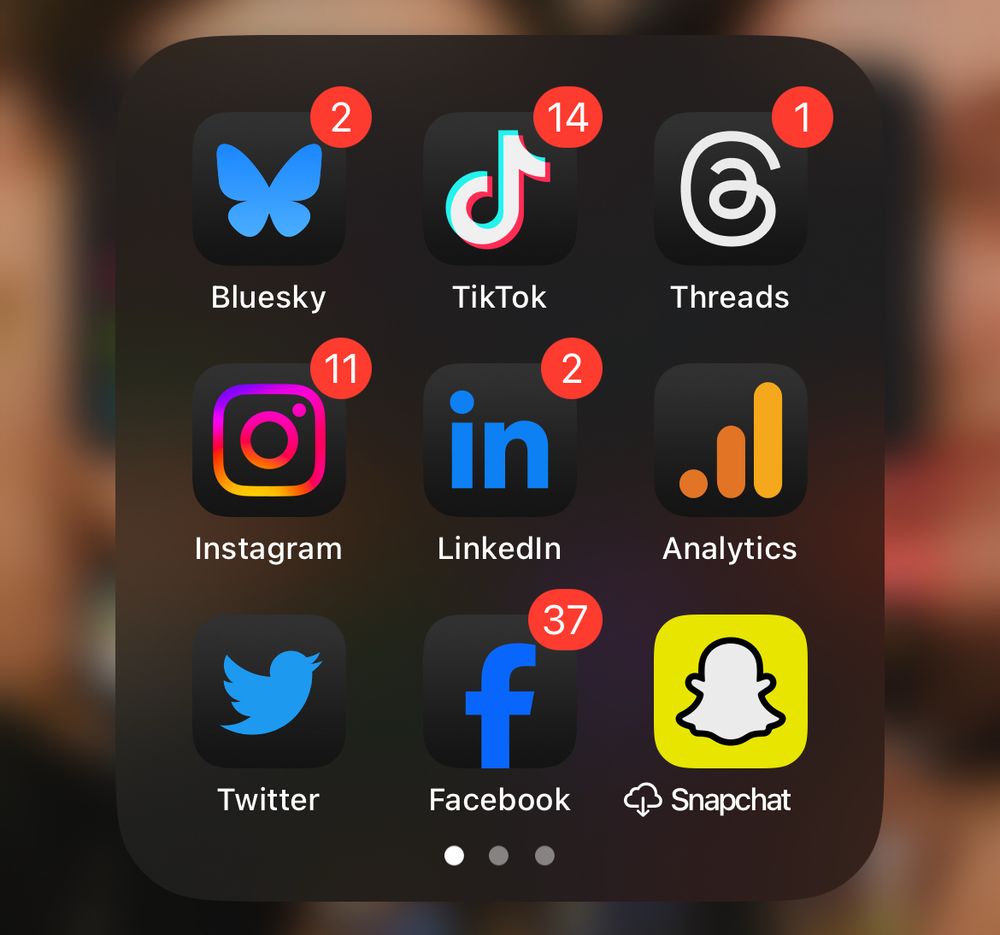 An app Home Screen showing Bluesky, TikTok, Threads, Instagram, Analytics, Twitter, Facebook and Snapchat 