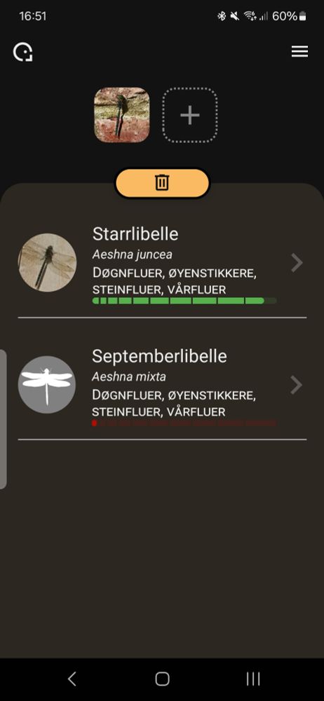 Skjermbilde fra appen Artsorakel som har benyttet bildet i posten over denne som kildemateriale.
Resultatene gir veldig høy sannsynlighet for Starrlibelle, og liten sannsynlighet for Septemberlibelle.