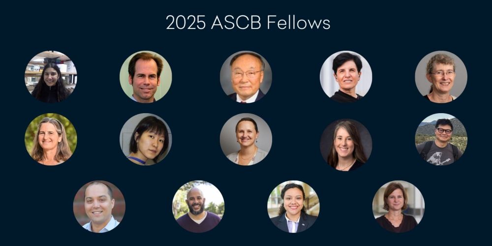 The American Society for Cell Biology (ASCB) is proud to announce the election of 14 outstanding scientists as 2025 ASCB Fellows—a prestigious honor recognizing their exceptional contributions to cell...