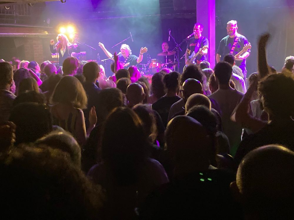 Crowd going a bit crazy with Os Mutantes in the background 