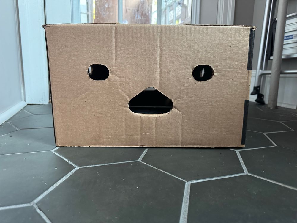 A cardboard box where the handle and two holes on the side look like a very alarmed face. 