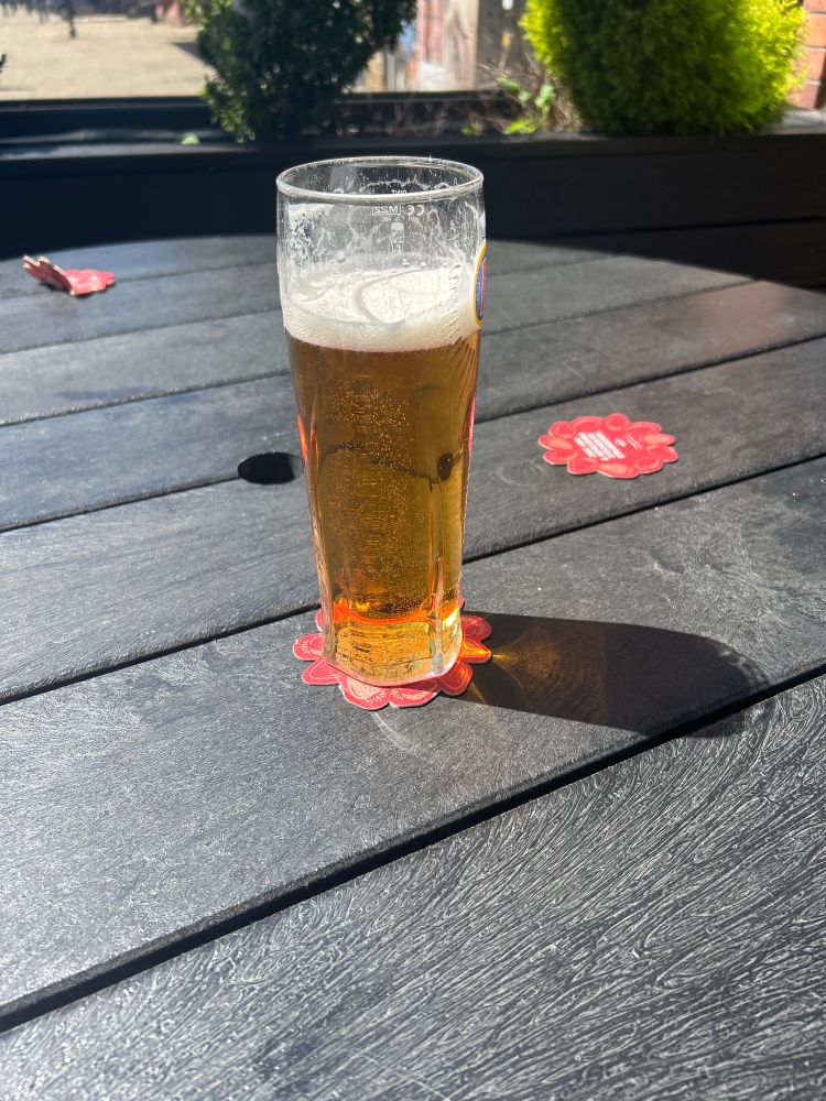 A pint looking resplendent in the sunshine. 