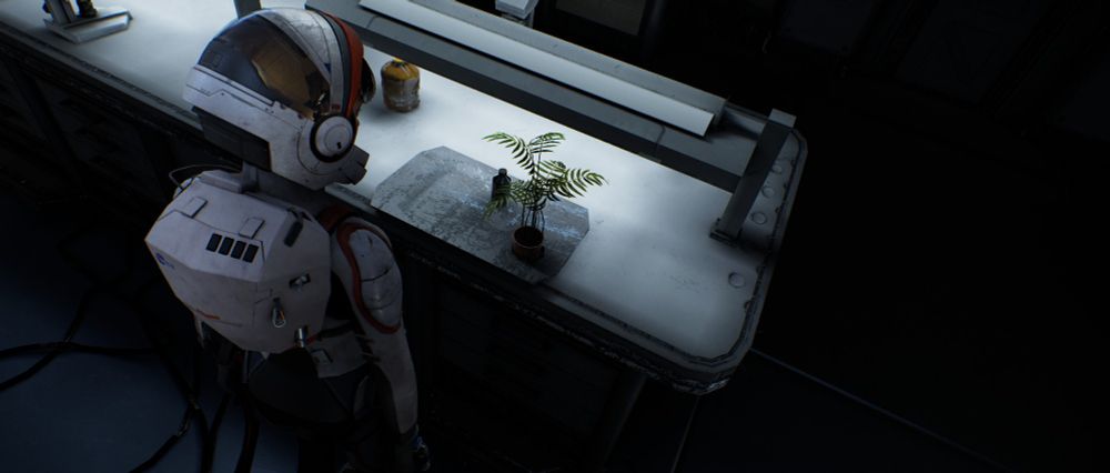 A plant grown on Mars in the Odum Facility