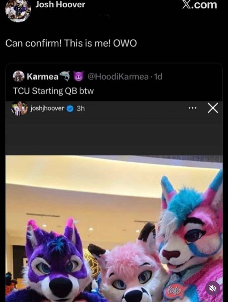 An Instagram post that has been screen-capped, posted, then re-posted on Twitter. 

The original Instagram post comes from handle “joshjhoover” with a timestamp “3h” (3 hours ago) and a verified blue checkmark. It has a photo of three fursuiters. From left-to-right, they are: a purple/white/pink-ear-tipped canine, a bubblegum-pink/white/black-ear-tipped canine, and a hot-pink/white/cyan-ear-tipped feline with cyan/white hair.

This post is then screenshotted and posted on Twitter by username HoodiKarmea. The name associated with it says Karmea, followed by a shark emoji and a smiling devil emoji. The timestamp reads “1d” (1 day ago). The post reads “TCU Starting QB btw”.

This post is then screenshotted and reposted on Twitter by Josh Hoover, whose username is blacked out. The repost reads, “Can confirm! This is me! OWO”.