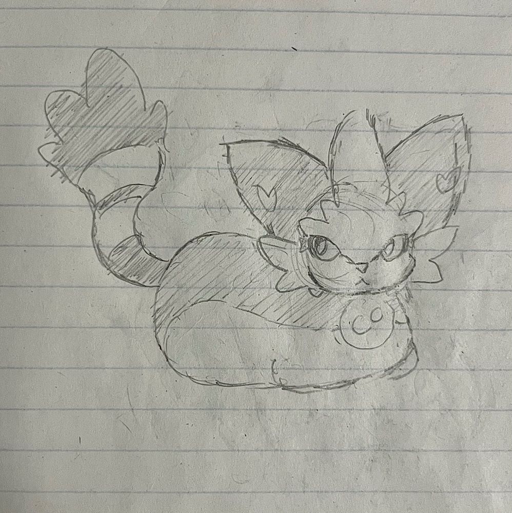 Torracat in the loaf position cats are typically seen in