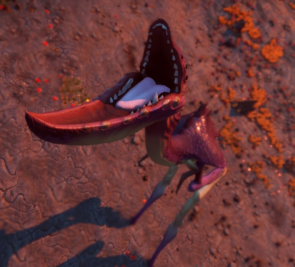 This weird stilt bird is yelling 