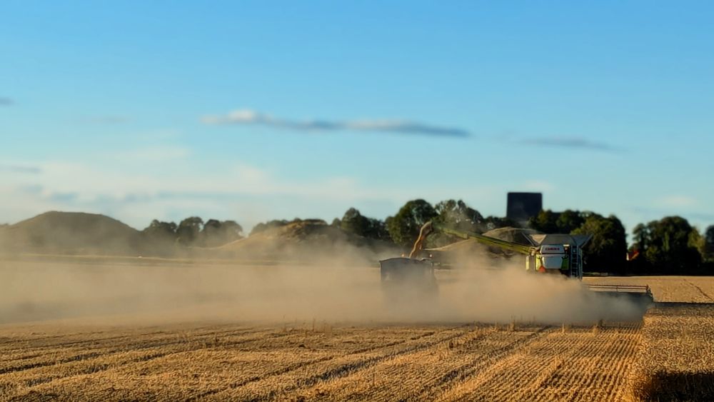 A cloud of dust spreading from harvesters with a blue sky background.