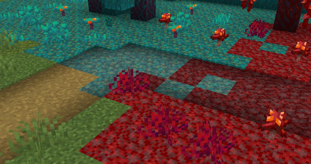 Minecraft Screenshot of a Dirt Path transitioning to Warped, and Crimson Nylium Paths.