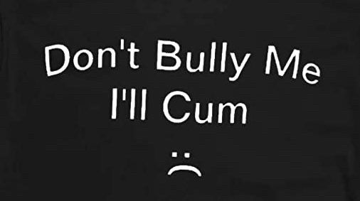 Text that reads “Don’t Bully Me. I’ll Cum :(“