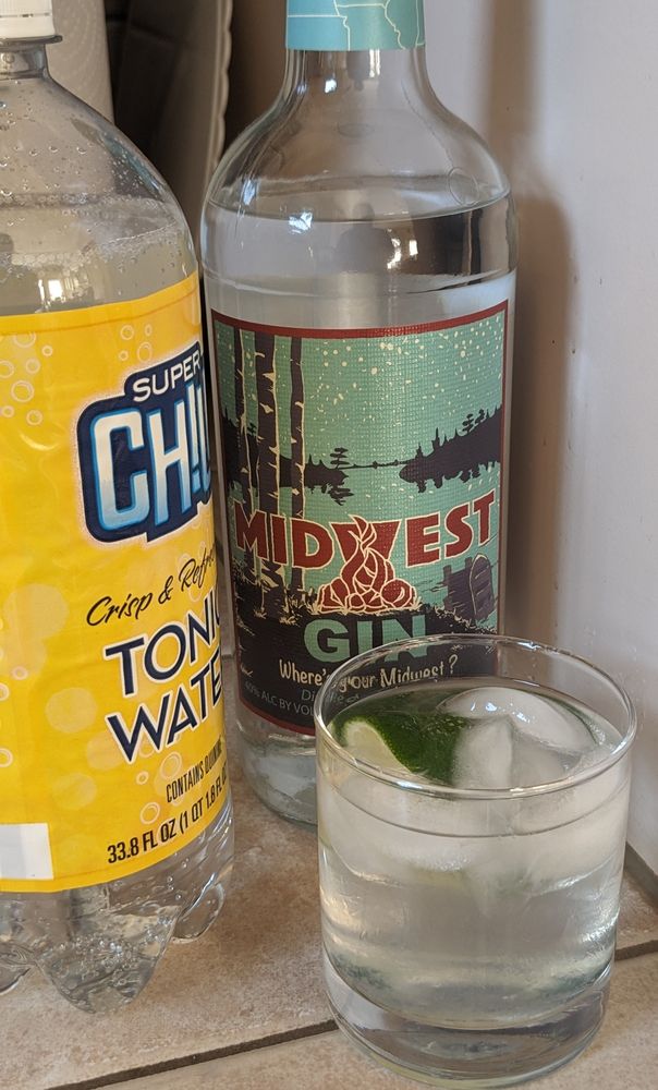 A friendly little gin and tonic, posing with its makings 