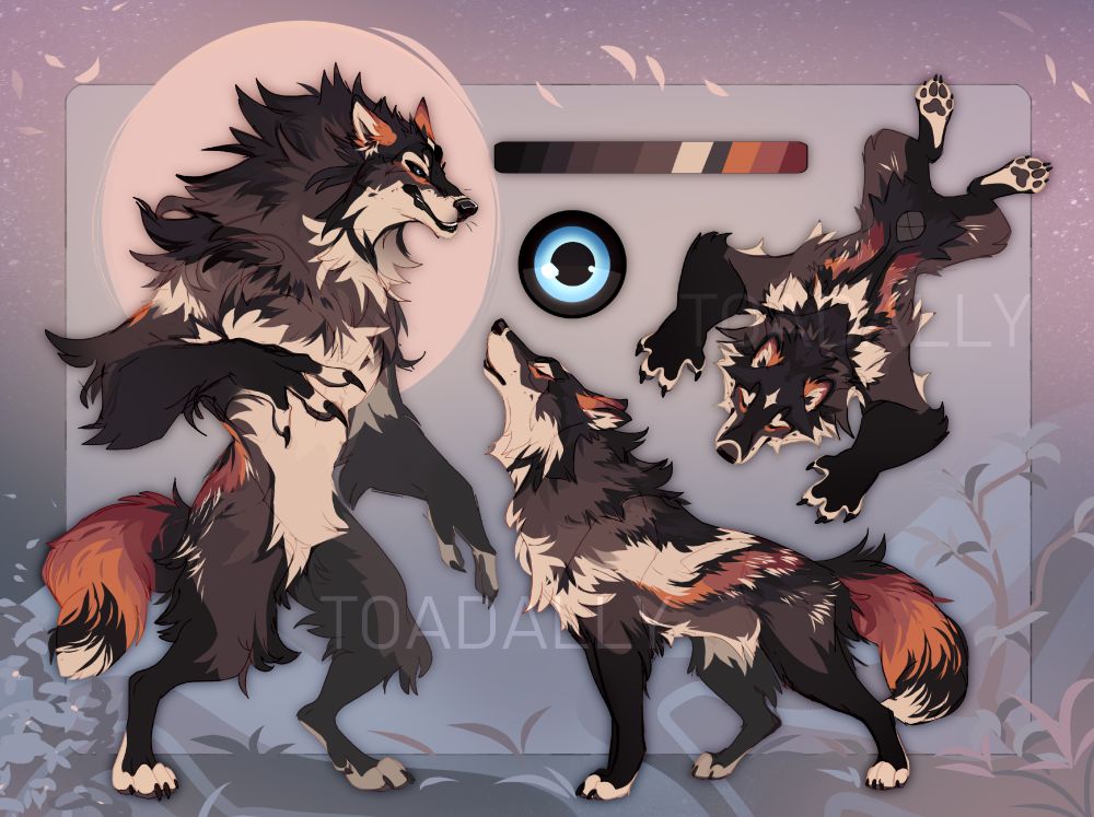 A reference sheet for a brown and cream werewolf with red and orange accents on the tail and ears. 