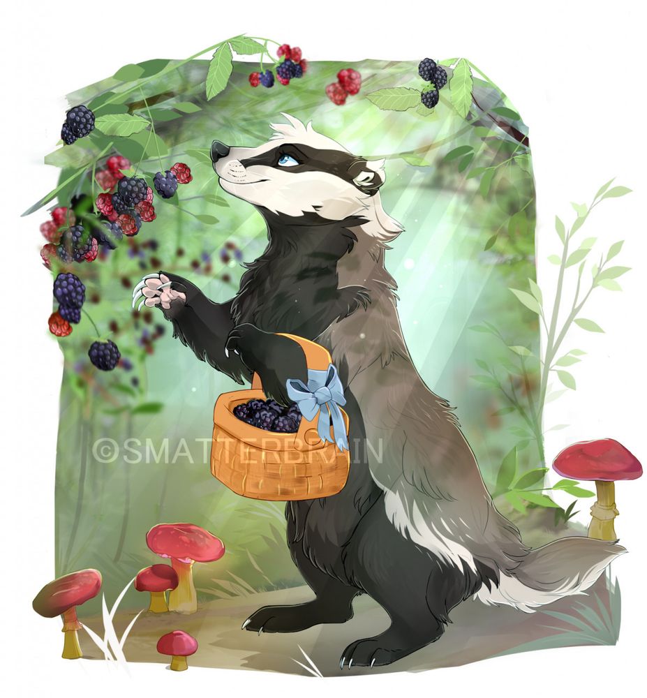 A badger standing on her hind legs to pick blackberries. She is carrying a basket with a blue bow that is almost overflowing with said blackberries. Mushrooms are scattered around her feet and light is filtering in from above and through the branches.