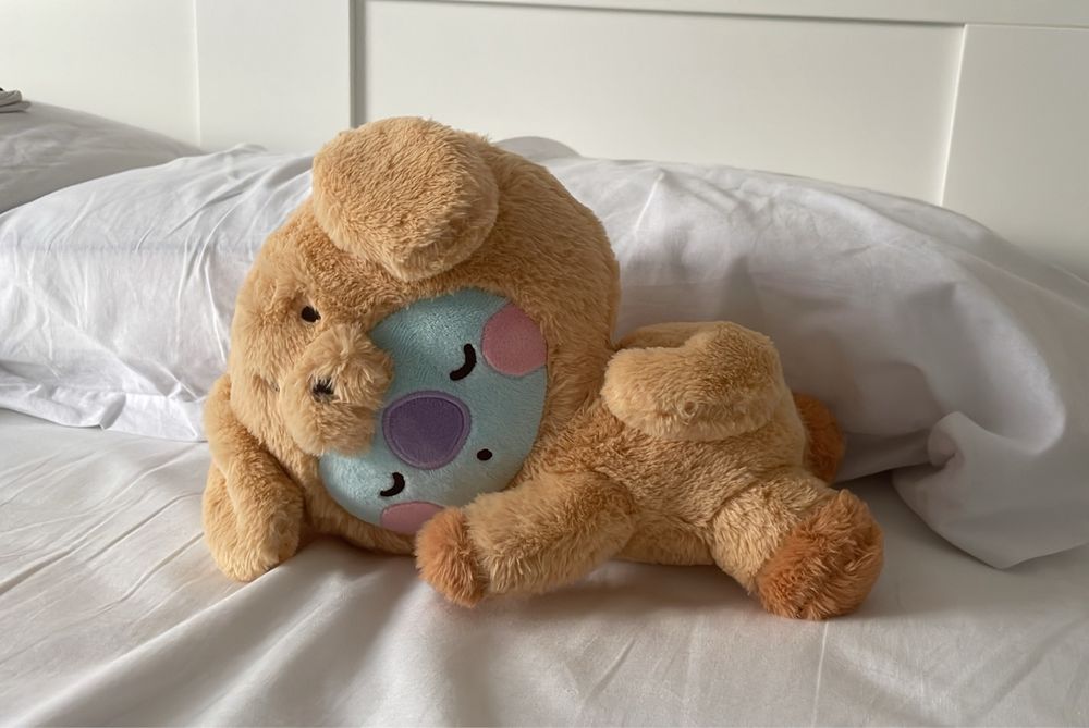 A koya plushie dressed as a dog. Very fluffy.