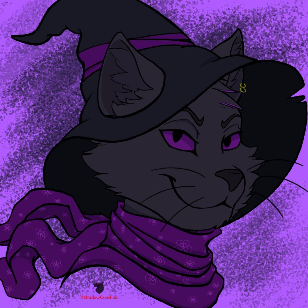 Black Cat wearing a purple scarf and witch hat