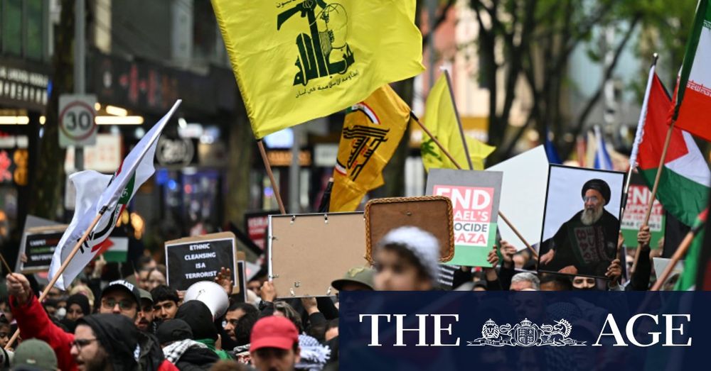 AFP says waving Hezbollah flag at protest not enough for arrest