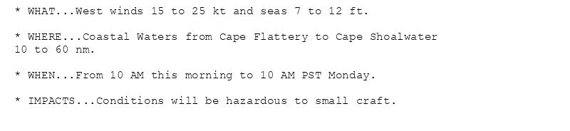 * WHAT...West winds 15 to 25 kt and seas 7 to 12 ft.

* WHERE...Coastal Waters from Cape Flattery to Cape Shoalwater
10 to 60 nm.

* WHEN...From 10 AM this morning to 10 AM PST Monday.

* IMPACTS...Conditions will be hazardous to small craft.