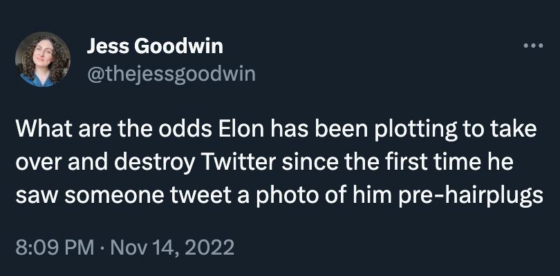 a tweet from @thejessgoodwin that says What are the odds Elon has been plotting to take over and destroy Twitter since the first time he saw someone tweet a photo of him pre-hairplugs
