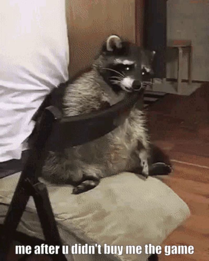 a raccoon is sitting on a chair with the words me after u did n't buy me the game on the bottom