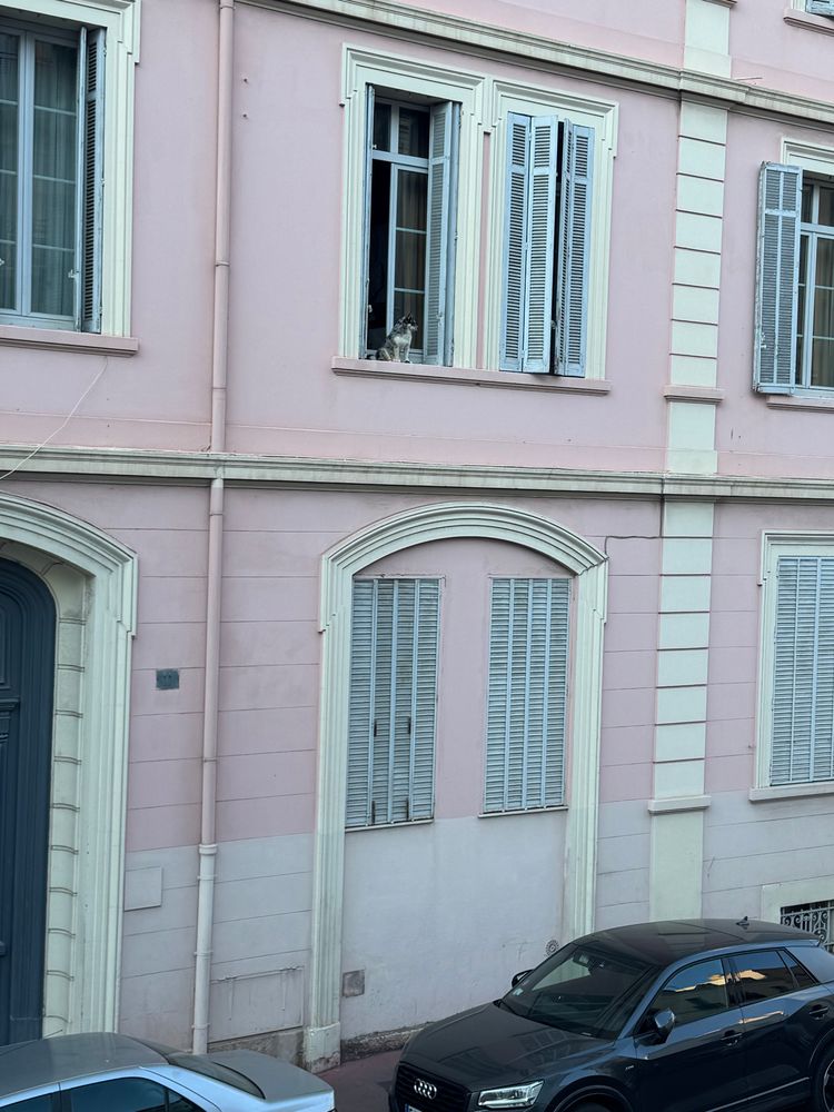 A pink building with a small dog sitting on the ledge of an open window high on the 1st floor.