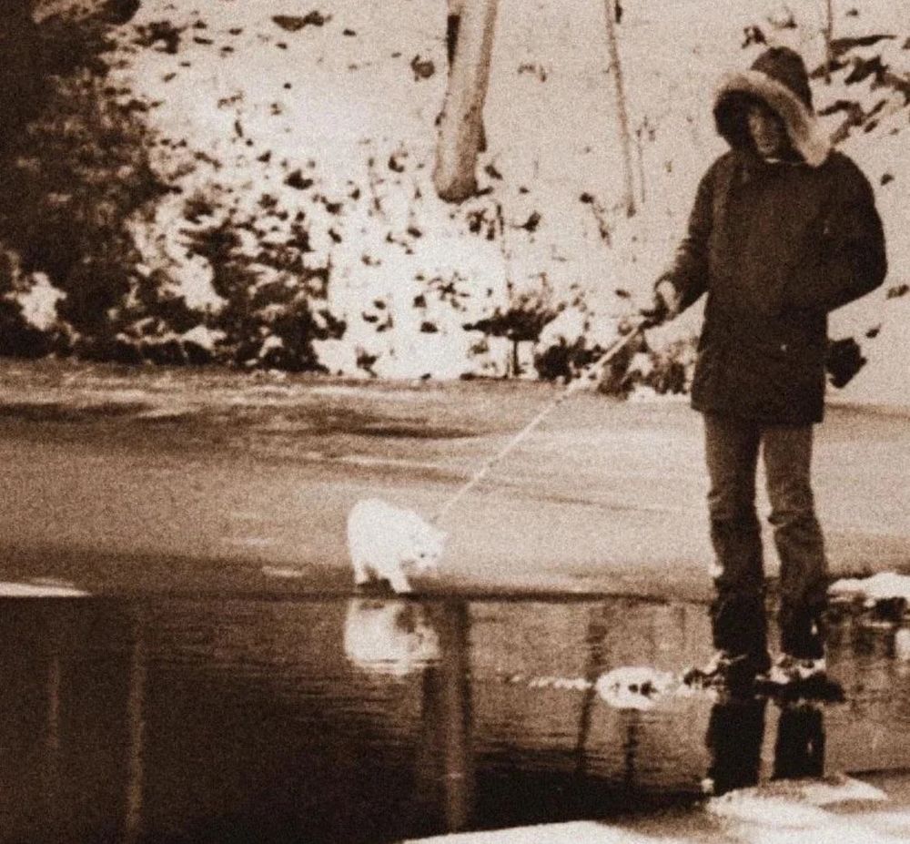 Dennis Wilson of The Beach Boys walking a white cat on a leash.