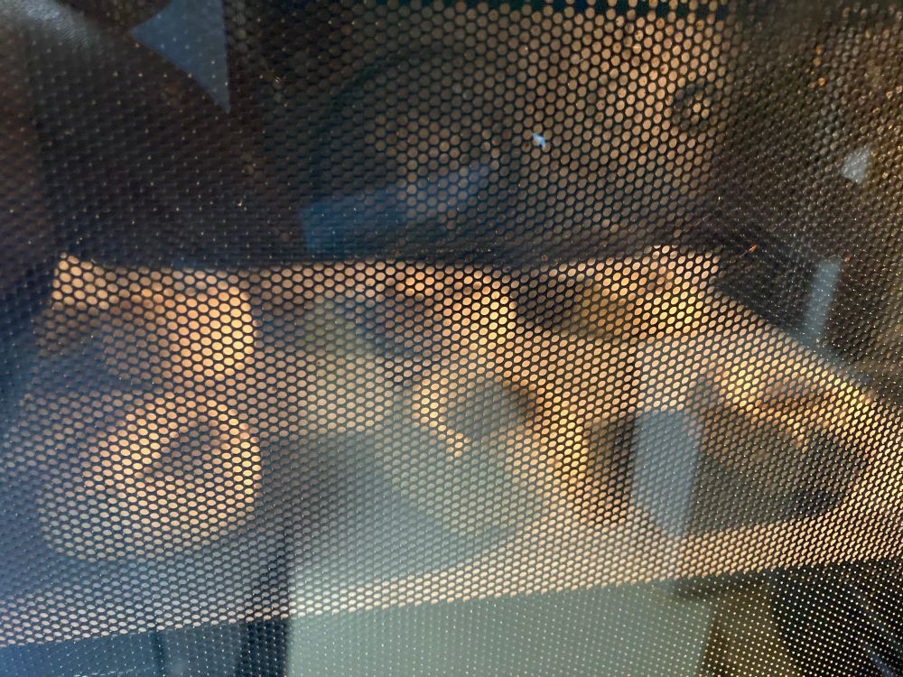 発酵中のベーグル