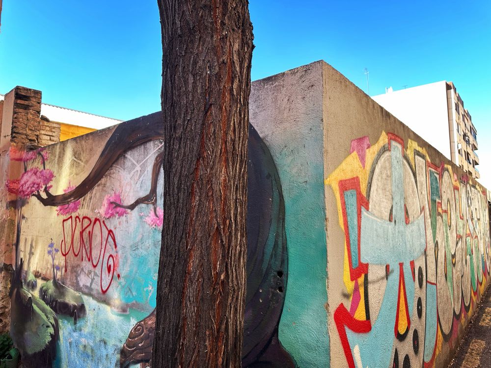 The tree was there first 