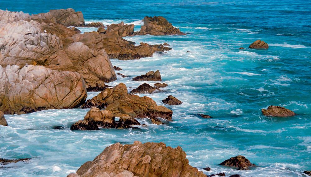 See more prints and photo merchandise like this by clicking on the link above. All inflation busting prices to help with holiday shopping