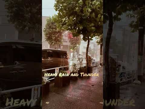 Heavy Rain and Thunder #30secondsambient #ambient #yoyogi #代々木