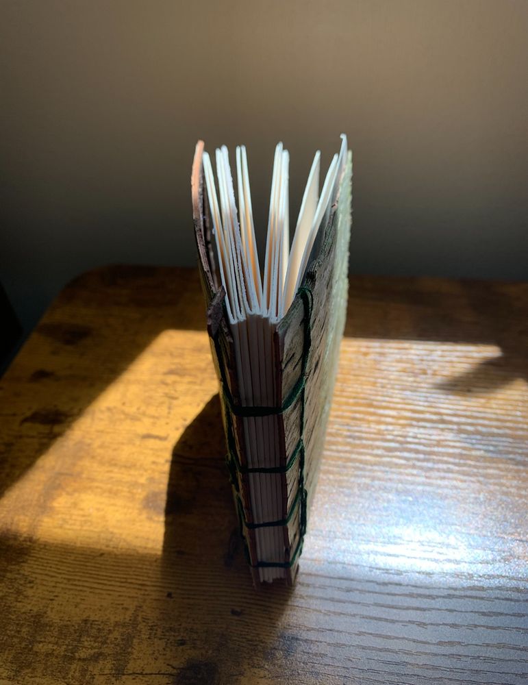 A birchbark book with green embroidery thread sitting on a desk in the sun