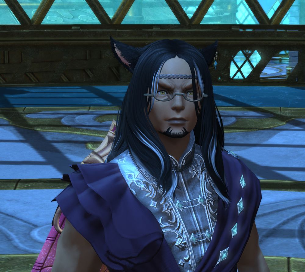 Morroyo is a Sun Seeker Miqote. He wears a purple robe with silver trim and Sage nouliths that look like pink wings. He has black hair with white streaks in it and has golden eyes. He has a brown headband and wears a pair of inspector's eyeglasses. 