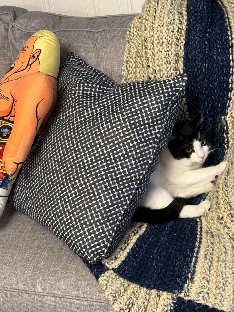 Carmella laying in a pillow fort. 