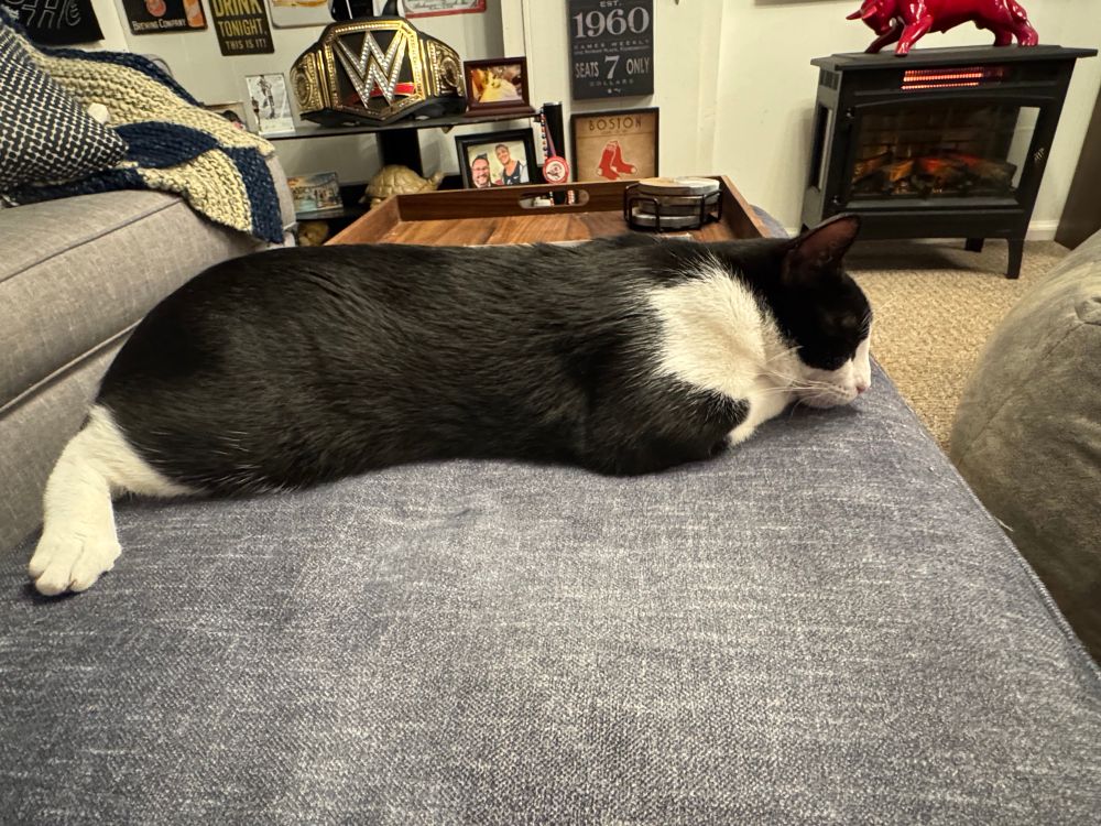 Tony all stretched out sound asleep. 