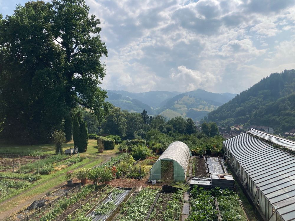 The view of the monastery’s garden from the guest house, overlooking the Münstertal valley.