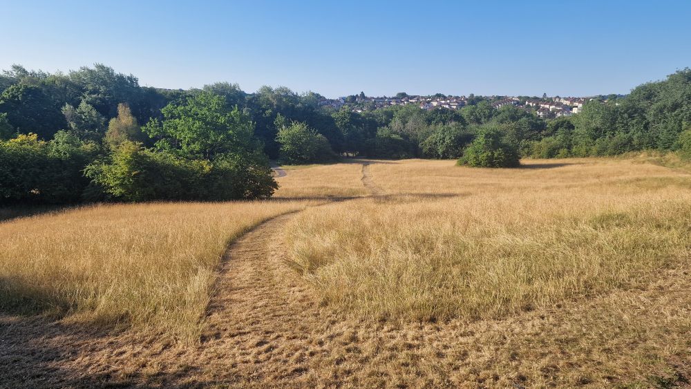 The same path as in the main post but from the other end. 

A mown path through dry long grass. Various trees are in the distance with houses on the horizon. The skiy is sunny and blue.