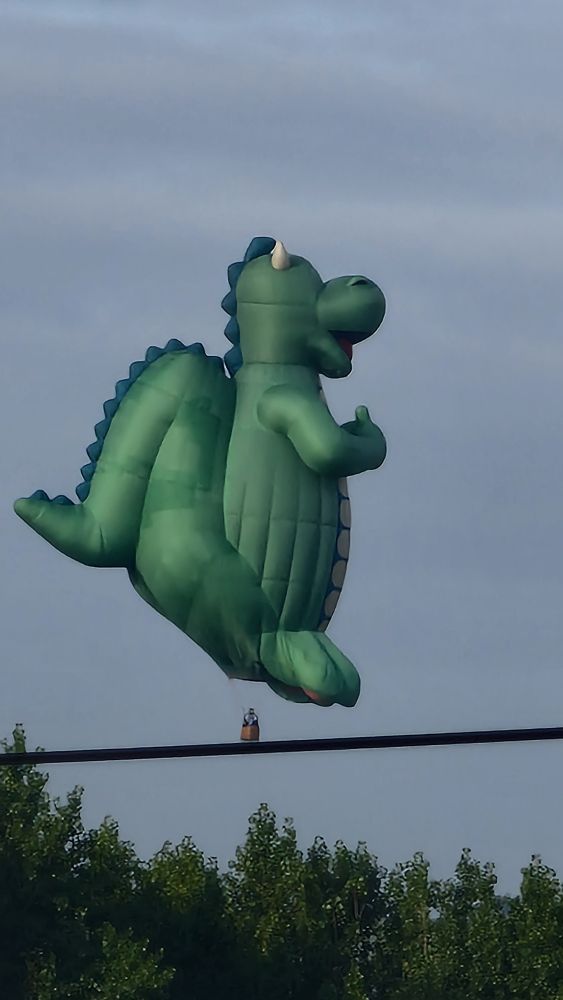 A side on view of a dragon shaped (dinosaur?) hot air balloon. The dragon is green with a thick tail. In the background there's a slightly cloudy sky. Underneath are trees. In the foreground an electric wire runs across the scene.