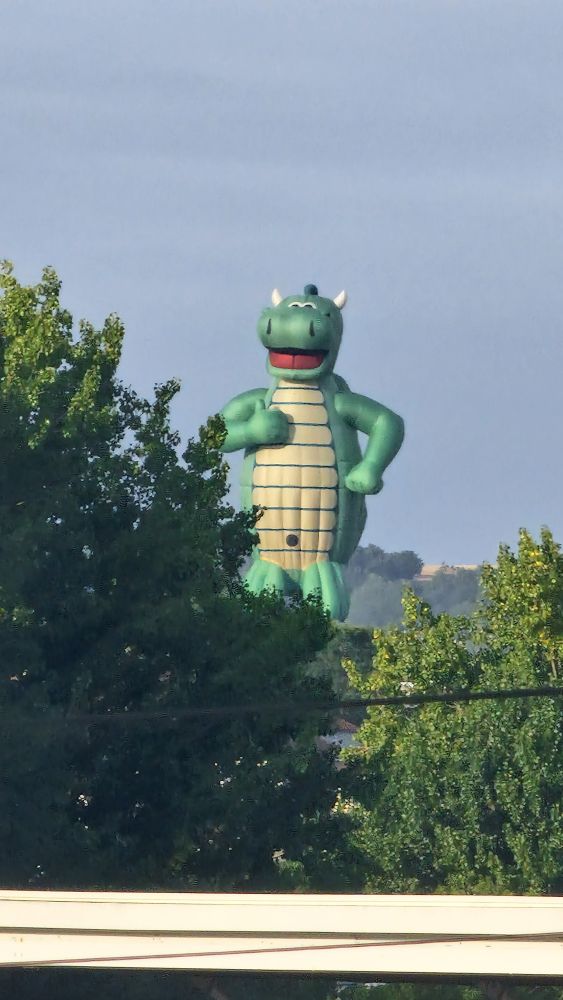 A front on view of a jolly dragon shaped hot air balloon nestled amongst some trees. The dragon is smiling straight at the camera.