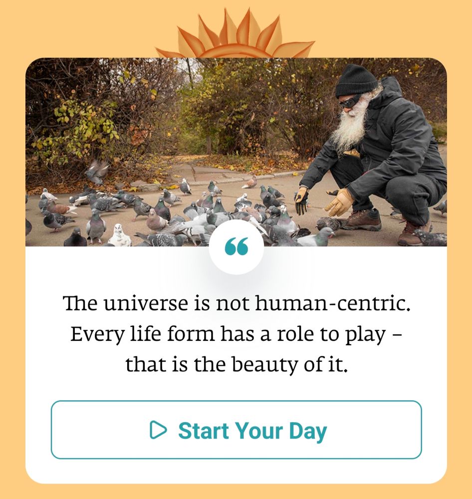 Older man with a long white beard, dressed for cold weather, crouching down to feed a flock of wild birds in a forest.
