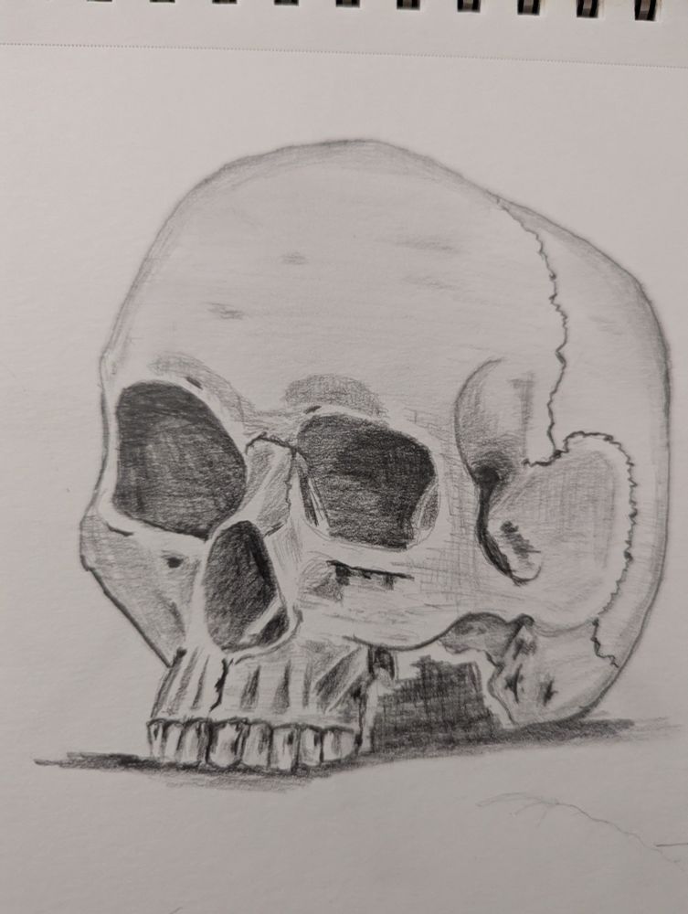 A sketch of a skull that is missing it's lower jaw