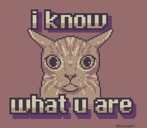 Pixel art of an aggressive cat staring straight at the user saying "i know what u are"