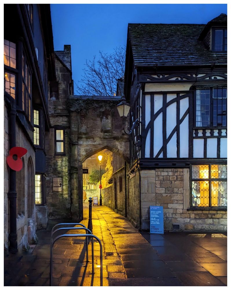 A colour photo of a narrow gated lane between medieval buildings. The sky is a deep blue, but a street lamp along the lane casts a yellow light that reflects off the wet pavement. 