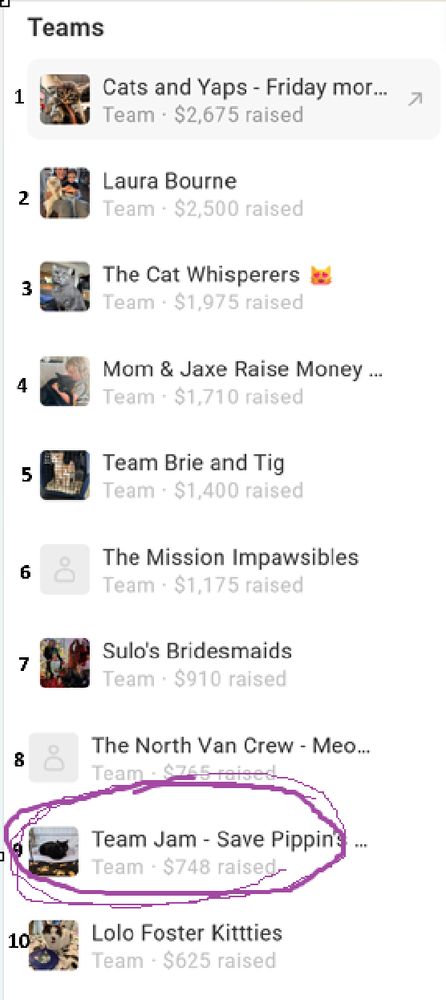 Ranking list from VOKRA fundraiser website showing Team Jam in 9th place