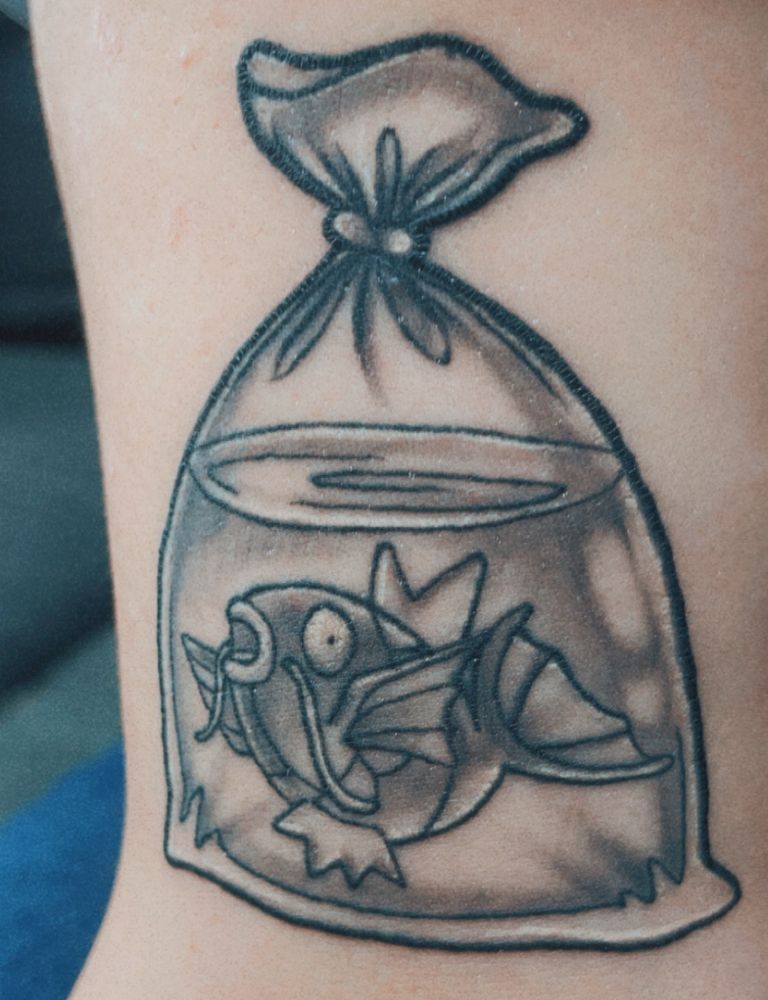 Magikarp in a goldfish bag