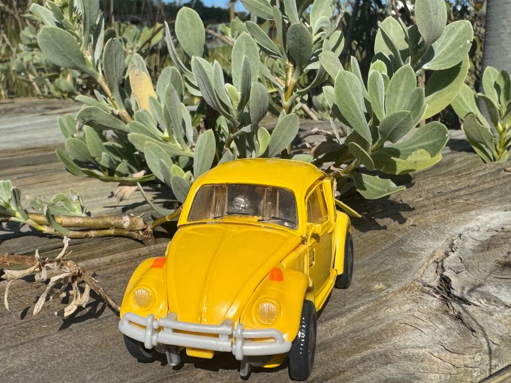 Bumblebee in car mode in front of a plant.