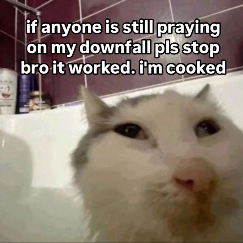 Close-up Picture of a distressed cat with the text “if anyone is still praying on my downfall pls stop bro it worked. i'm cooked”