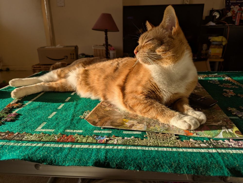 Ginger cat lying on a jigsaw