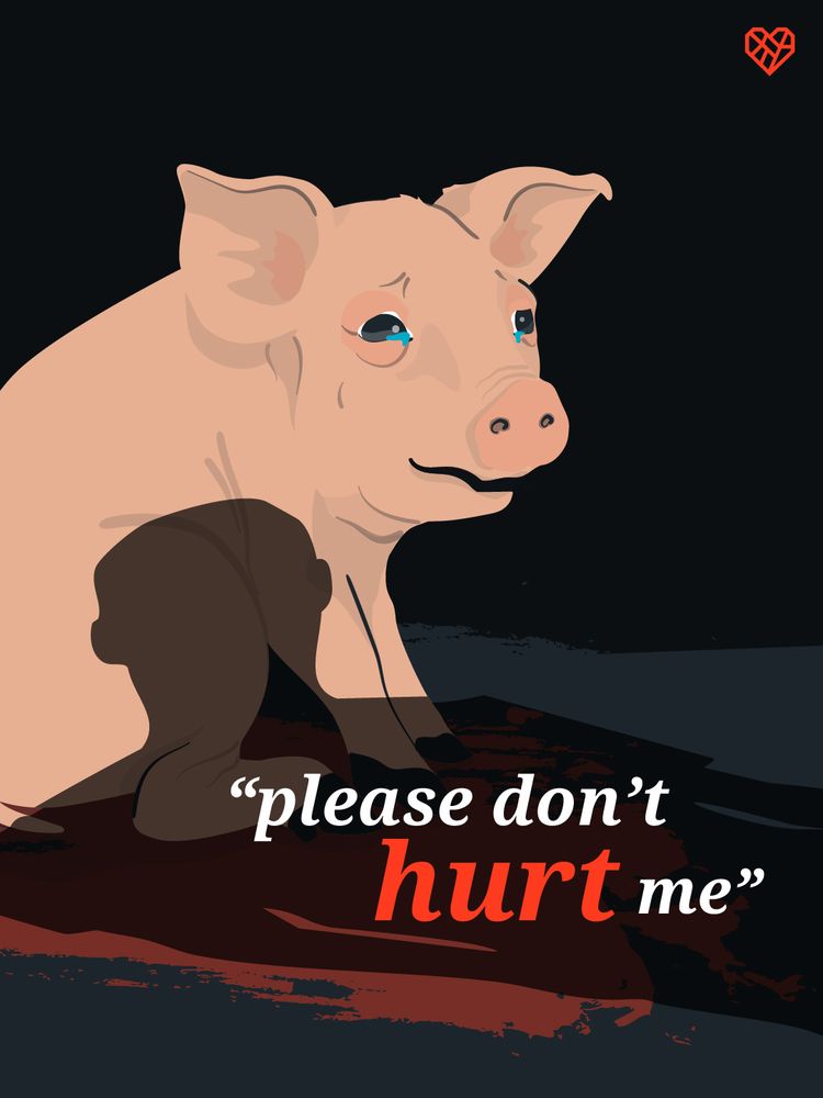 Image: An illustration of a frightened piglet on a factory farm. The shadow of a human looms over the baby pig. Text overlay reads: "Please don't hurt me"