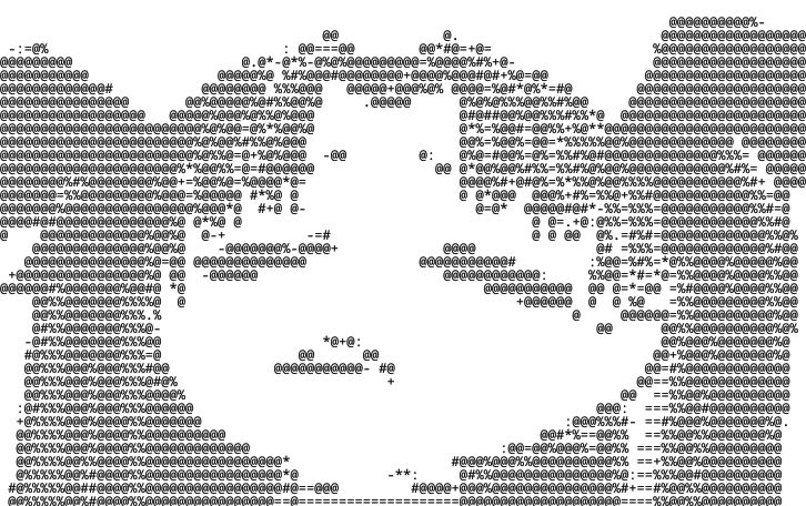 Shane's favorite washed Rin drawing as ASCII art