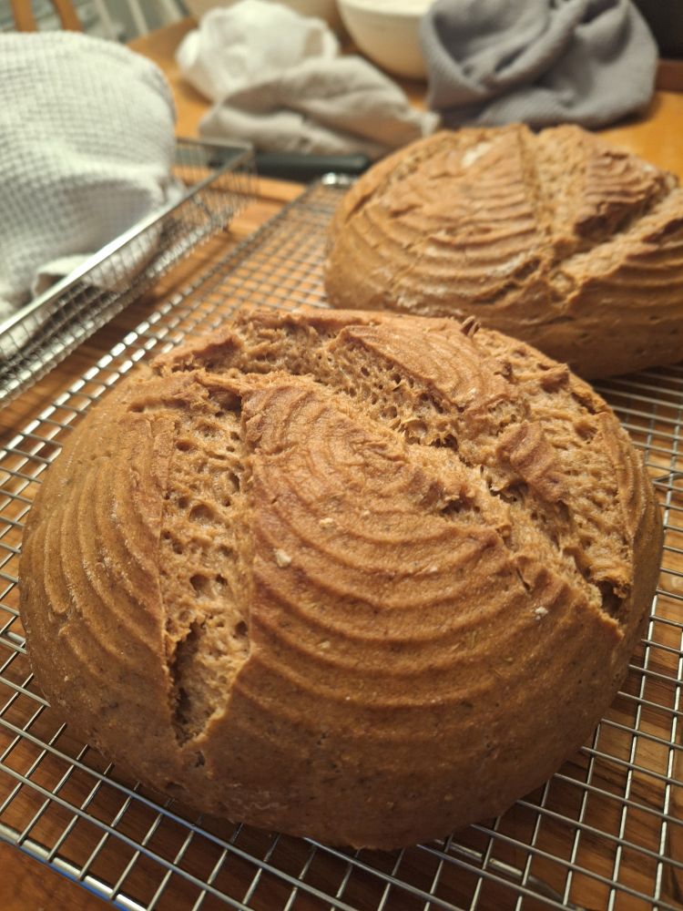 gluten free sourdough right out of the oven on a cooling rack
