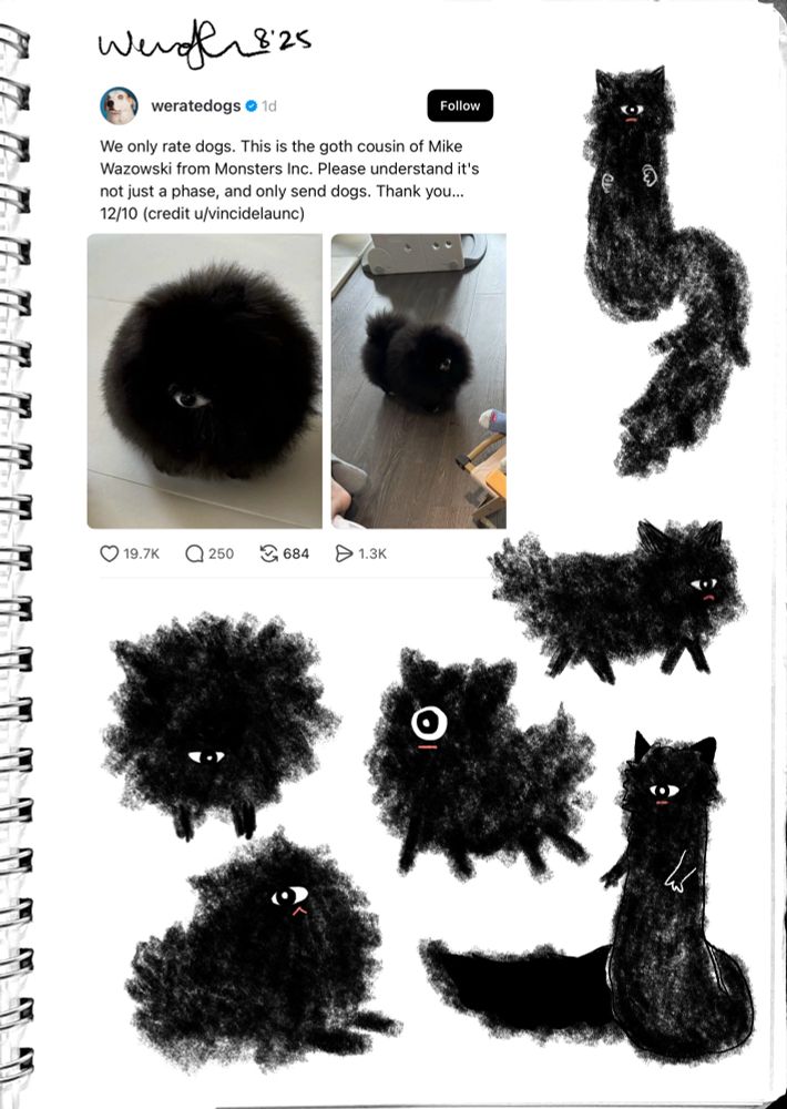 weratedogs: 
We only rate dogs. This is the goth cousin of Mike Wazowski from Monsters Inc. Please understand it's not just a phase, and only send dogs. Thank you...
12/10 (credit u/vincidelaunc)

pic is a fluffy black pomeranian w a nose that looks like an eye +

my interpretation of the dog