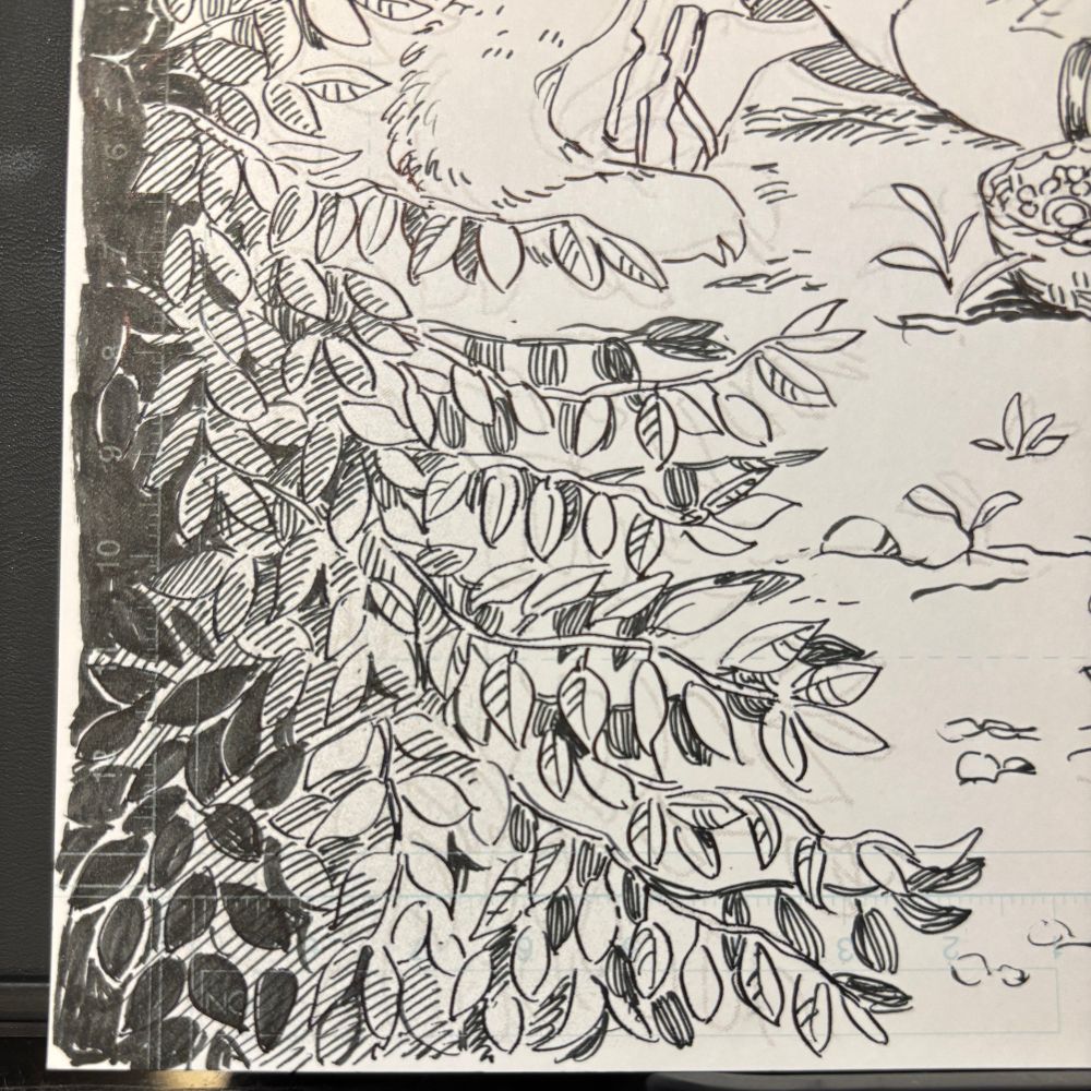 coffee plant in pen and ink